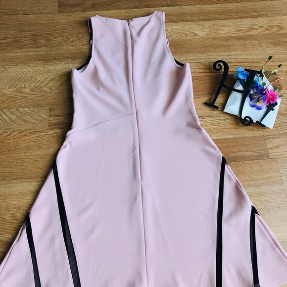 NWOT Baby pink A-line dainty but sexy dress - Picture 2 of 7